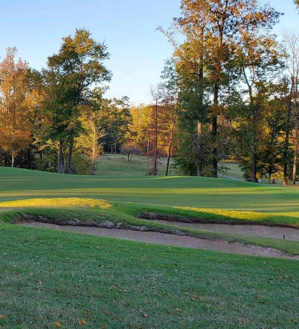 the challenge golf club 20