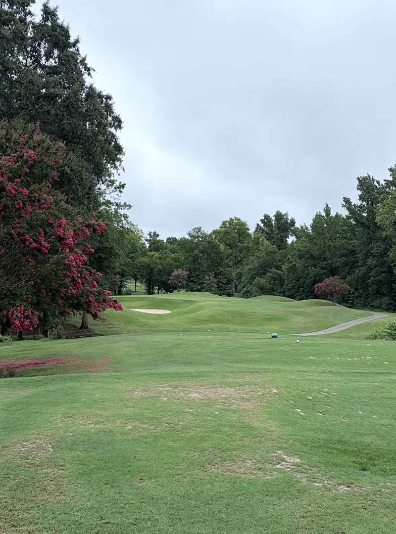 the challenge golf 04